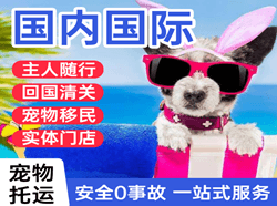 乌兰浩特义勒力特航空运输国际宠物托运 【国